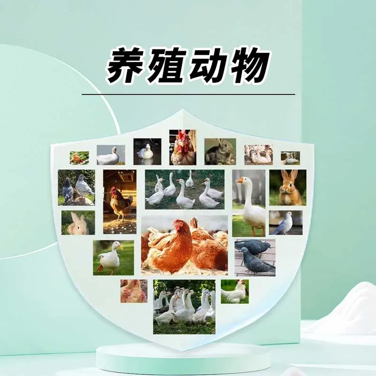 雄牧禽一片鸡鸭鹅鸽子禽类兔子养殖通用添加剂