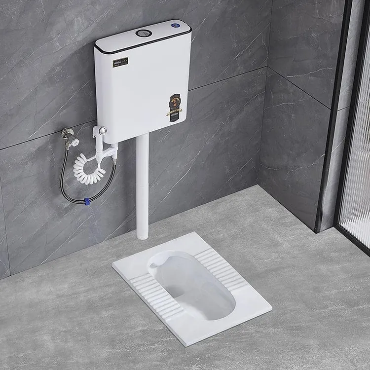 家用陶瓷蹲便器冲水箱整卫生间大便器便池厕所蹲坑式防臭便盆舒适