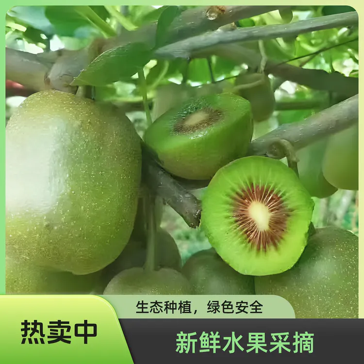云南绿皮红心猕猴桃无毛香甜大果肉厚汁多新鲜