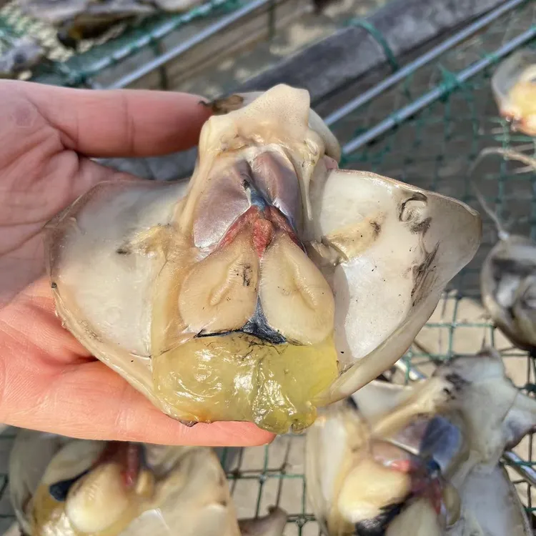 舟山海鲜小乌贼门子 250g/包
