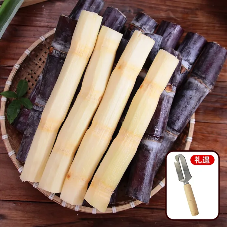 【遇见美物】广西黑皮甘蔗 5斤4-6段 含削皮刀