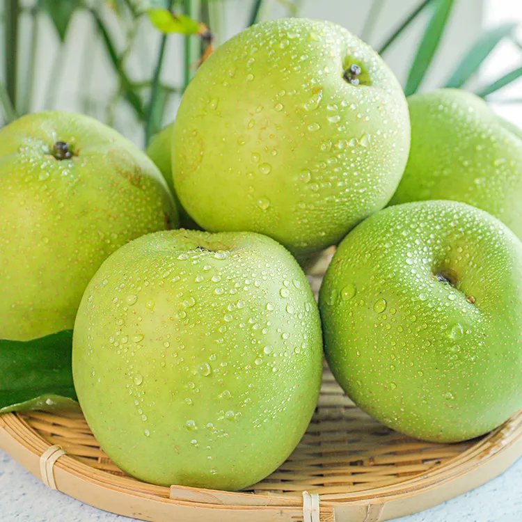 【遇见美物】安徽砀山翠冠梨 4.5斤6-9个