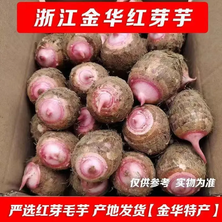 金华新鲜现挖红芽芋头仔红嘴小毛奶芋头香芋艿软粘粉糯自种蔬菜