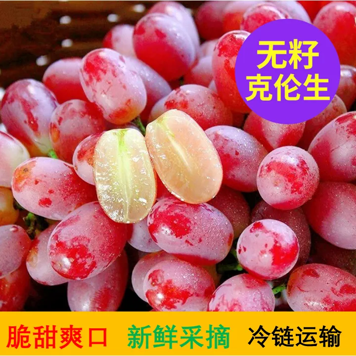 【顺丰冷链】四川凉山无籽红提葡萄克伦生脆甜多汁饱满1/3/5斤新鲜