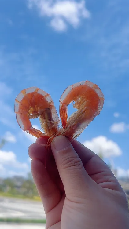 [虾姑姐]  舟山活皮虾干100g/包  休闲海鲜零食