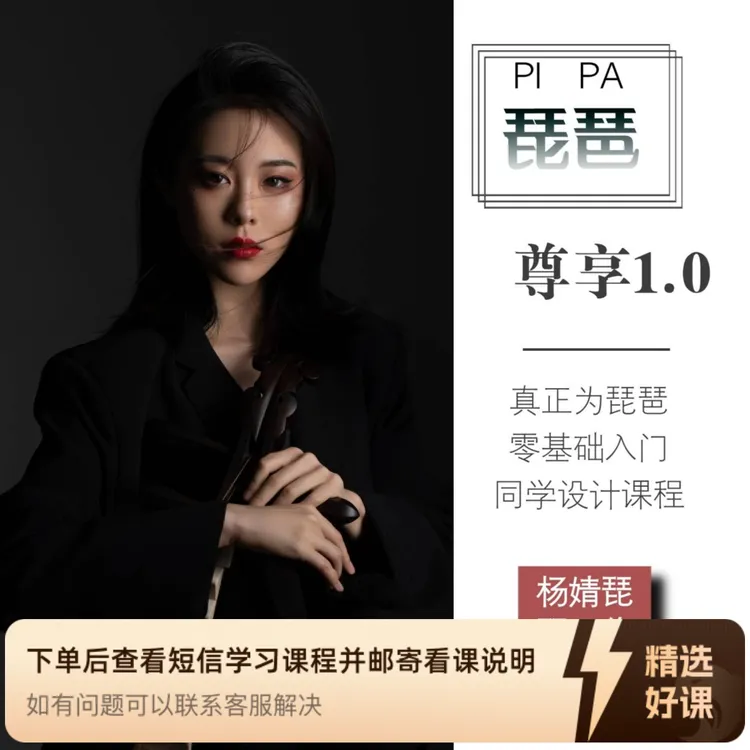 【尊享1.0】零基础琵琶教学课（带琴）（留意短信解锁课程）