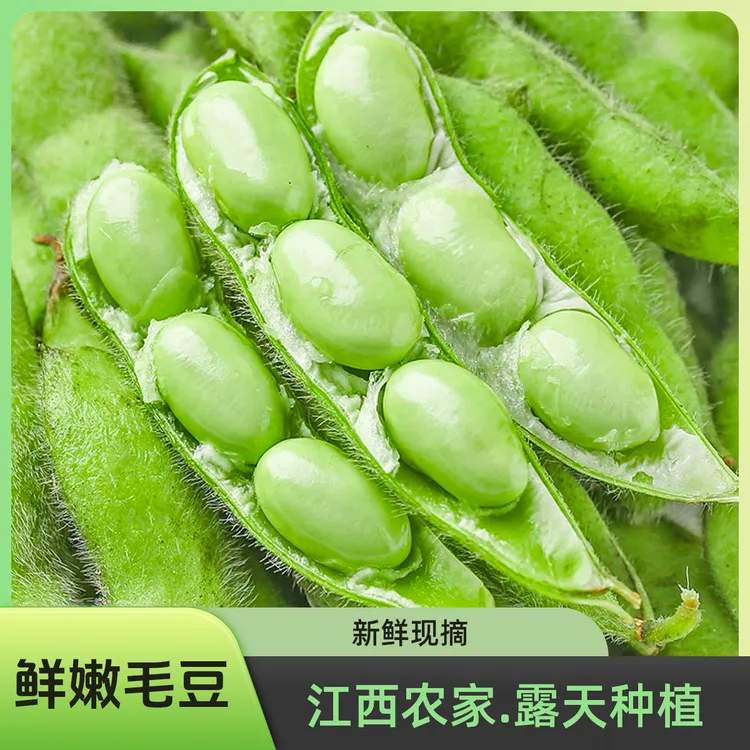 江西新鲜毛豆家乡田豆青皮豆带壳农家自种现摘毛豆本地露天蔬菜豆