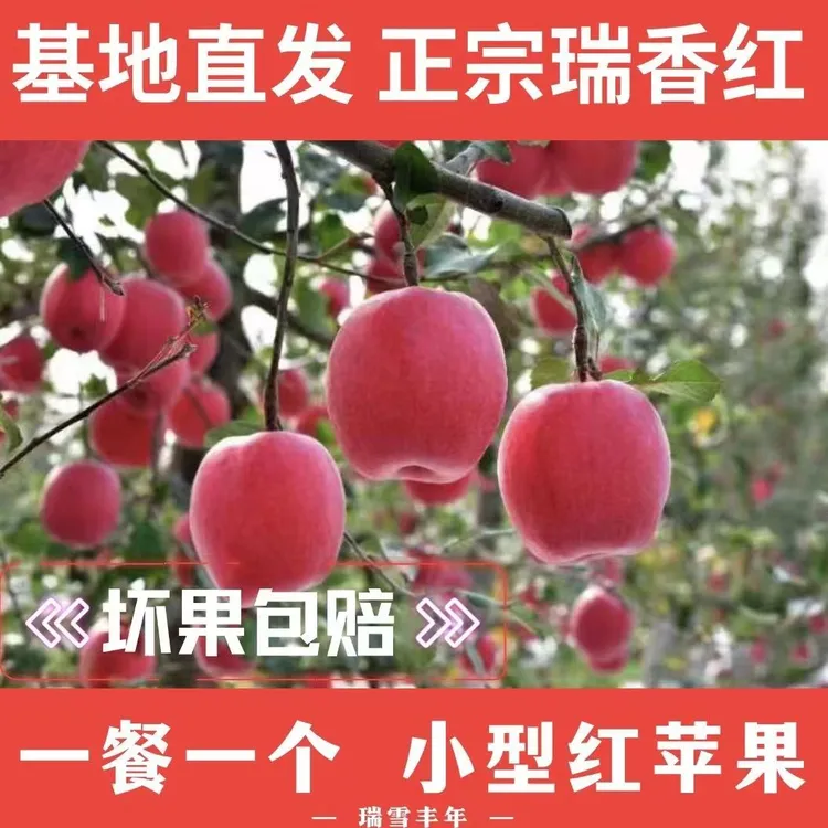 正宗国货新品种瑞香红香甜浓郁宝宝果顺丰包邮