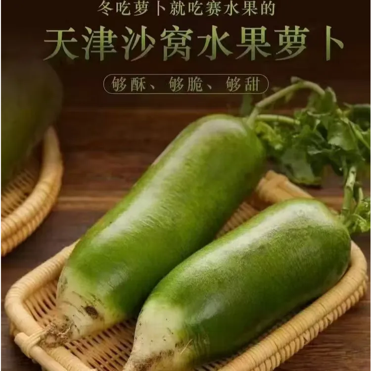 杰大姐专属【天津沙窝萝卜天星2号】小沙窝村水果萝卜新鲜现采摘（坏了包赔）