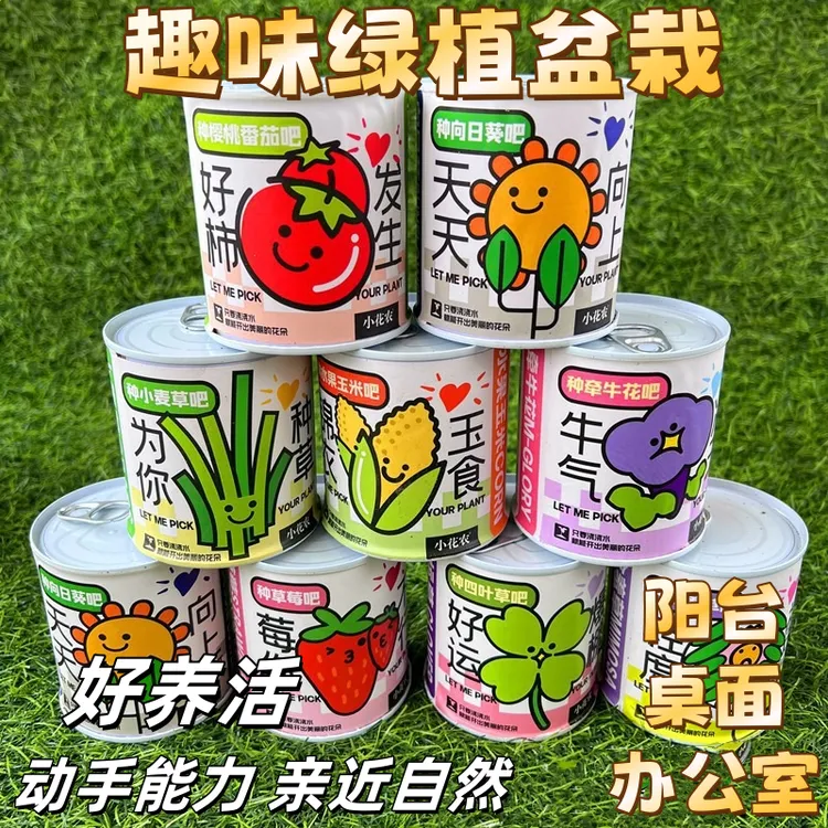 儿童种植小盆栽罐装圆形花农小学生植物生长观察发芽种子盒小绿植