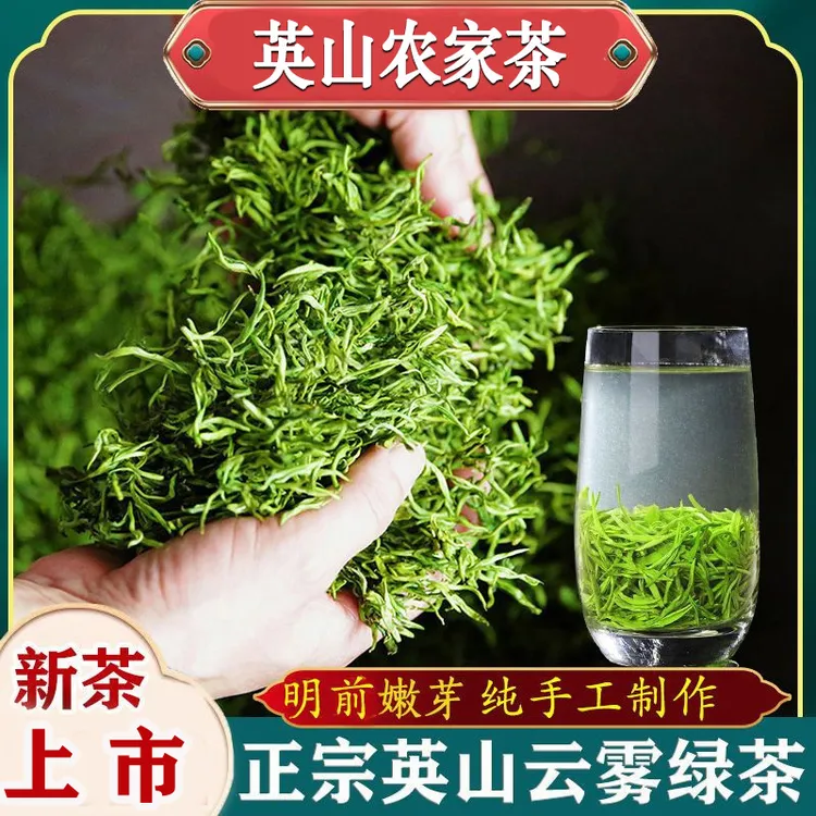 湖北英山云雾绿茶春茶新茶浓香型高山茶鲜爽明前手工嫩芽毛尖茶叶