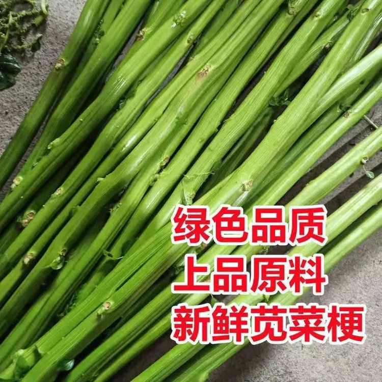 拇指大小新鲜苋菜梗怕小棵慎拍汗菜绿色加工霉苋菜梗臭豆腐卤水