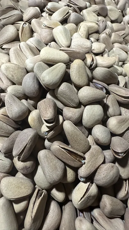 大颗粒干炒开口松子，办公室零食手剥松子500g/袋