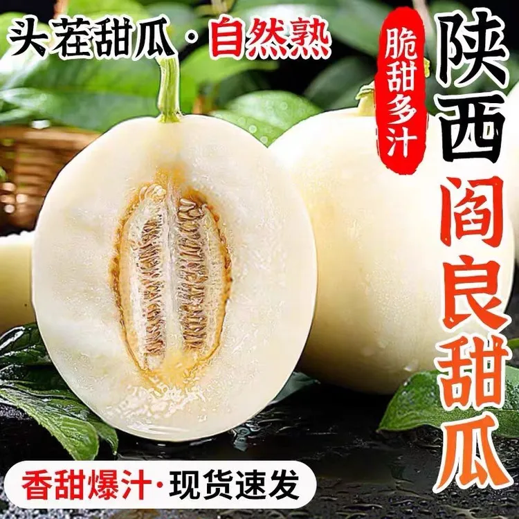 陕西阎良甜瓜新鲜水果应季水果当季新鲜整箱蜜瓜小籽白瓜香瓜