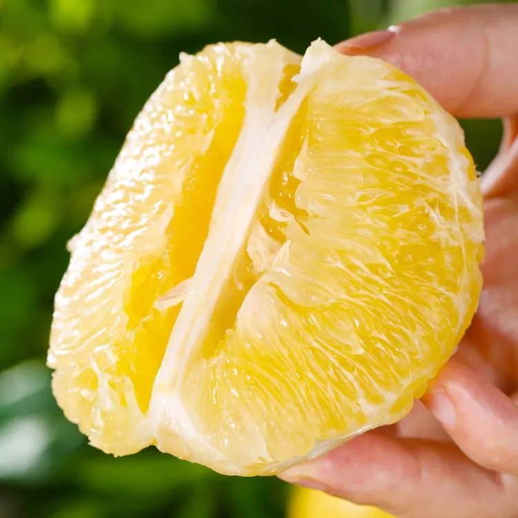 【宜柚-黄金葡萄柚子】4.5-8.5斤细嫩清甜榨汁优选湖北当季新鲜水果