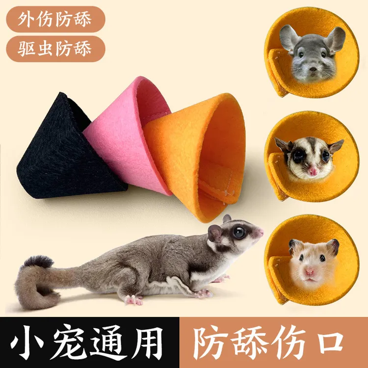仓鼠花枝鼠防咬圈伊丽莎白圈耻辱圈洗澡用品防呛松鼠龙猫蜜袋鼯