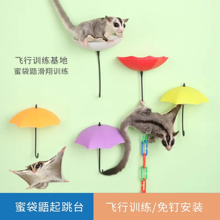 飞行跳台蜜袋鼯起飞站台自粘雨伞平台攀爬链训练起飞玩具用品跳台