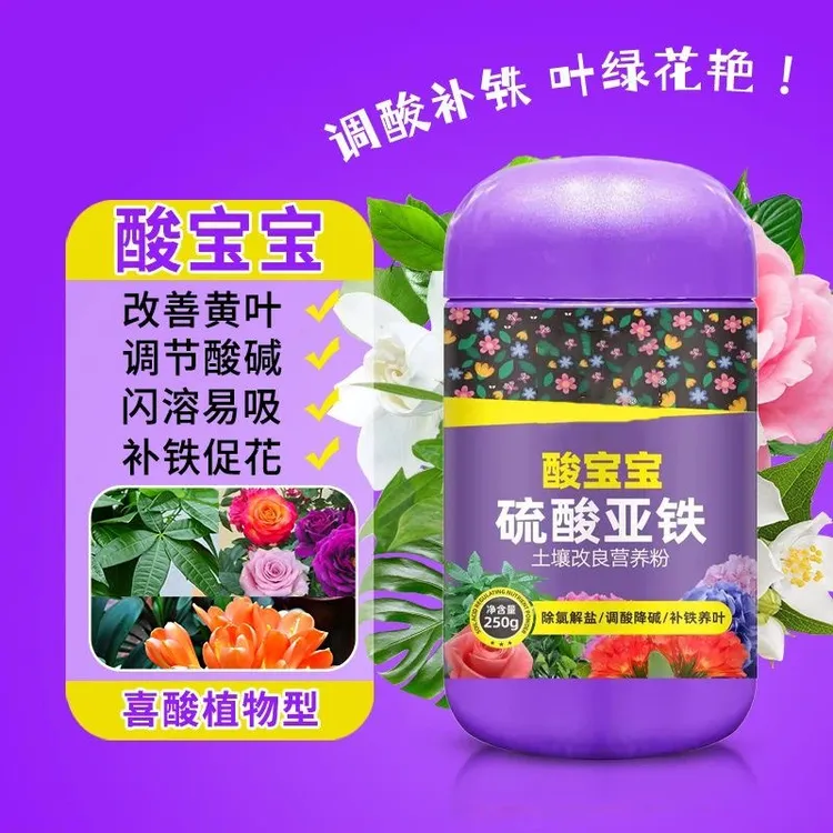 酸宝宝硫酸亚铁养花肥料喜酸植物防黄叶土壤调酸专用花园水溶肥料