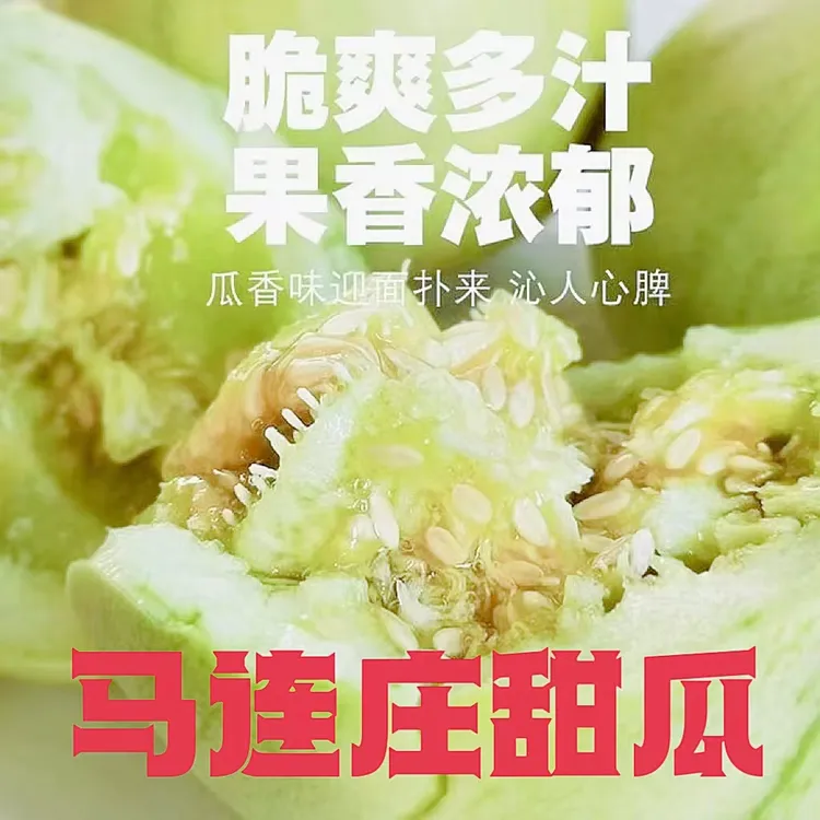 【顺丰包邮】马连庄甜瓜香甜脆皮多汁现摘新鲜水果羊角蜜