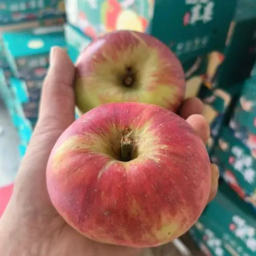 (瑕疵果）陕西洛川红富士10斤左右
