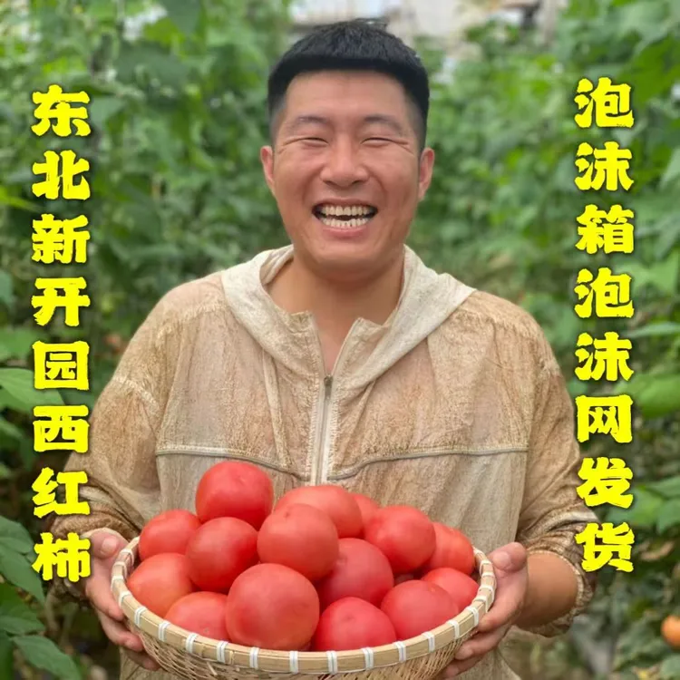 东北头茬西红柿番茄自然成熟水果柿子生吃沙瓤现摘现发坏果包赔