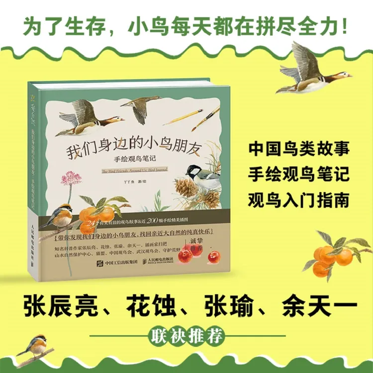 我们身边的小鸟朋友：手绘观鸟笔记