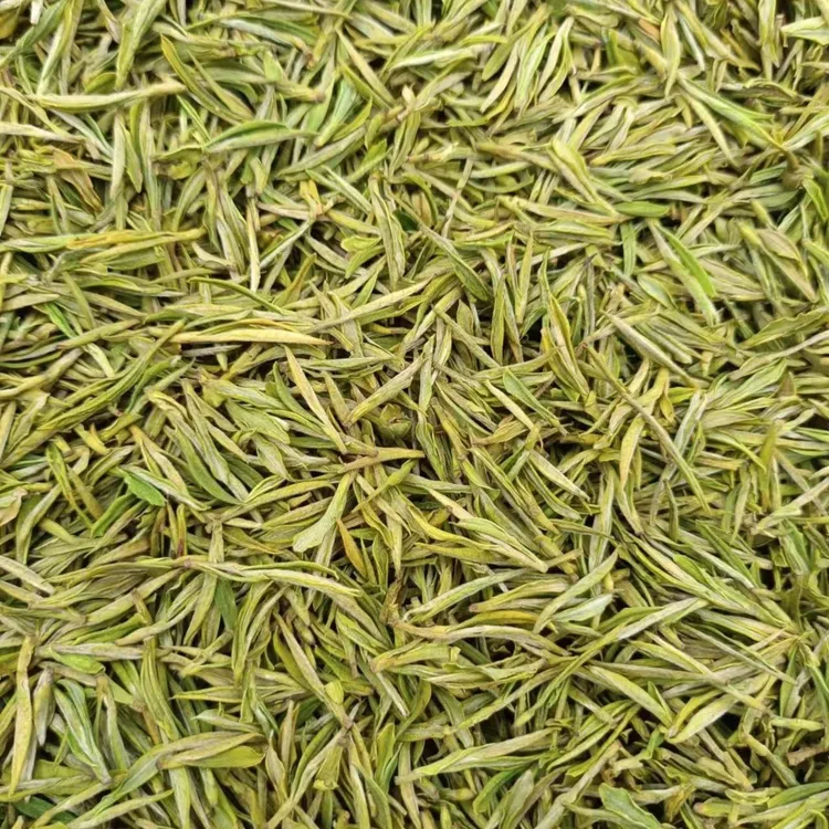 安吉白茶2023年新茶春茶明前特级AAA明前头采高山绿茶叶雨前白茶