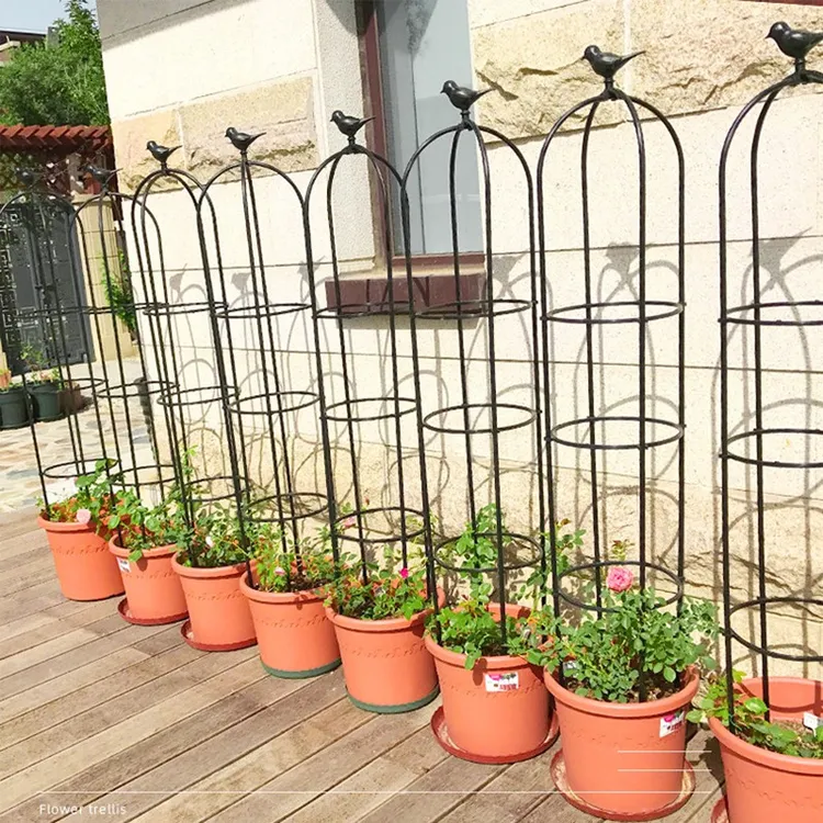 【苏塑】月季爬藤架植物攀爬架包塑钢管花架铁线莲支撑杆玫瑰花支架