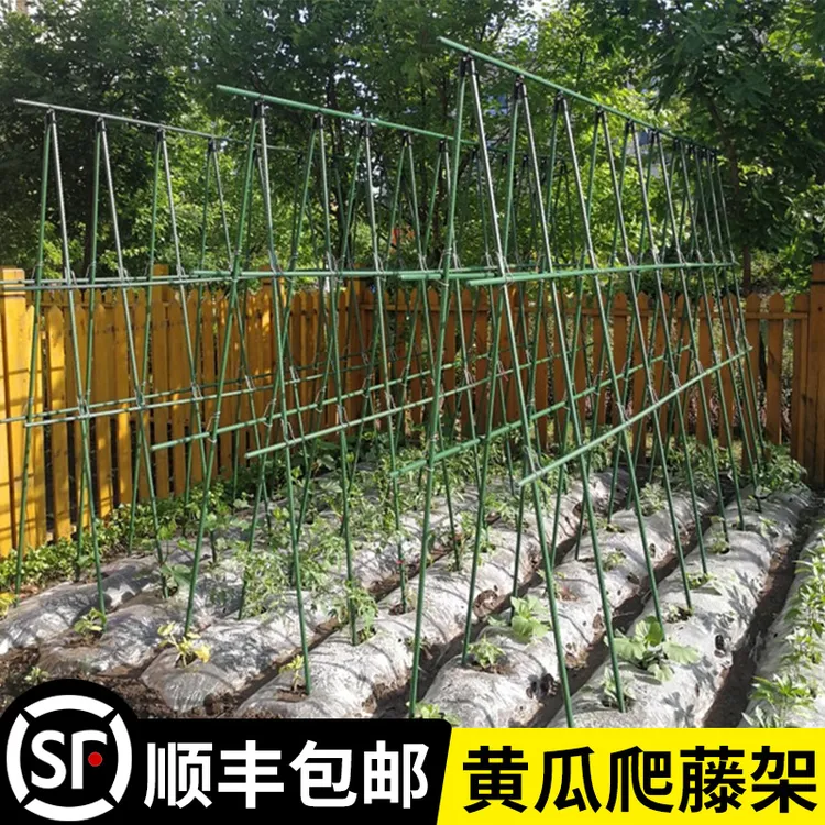 黄瓜爬藤架豆角架杆西红柿架种菜蔬菜搭棚子架植物支撑杆包塑钢管