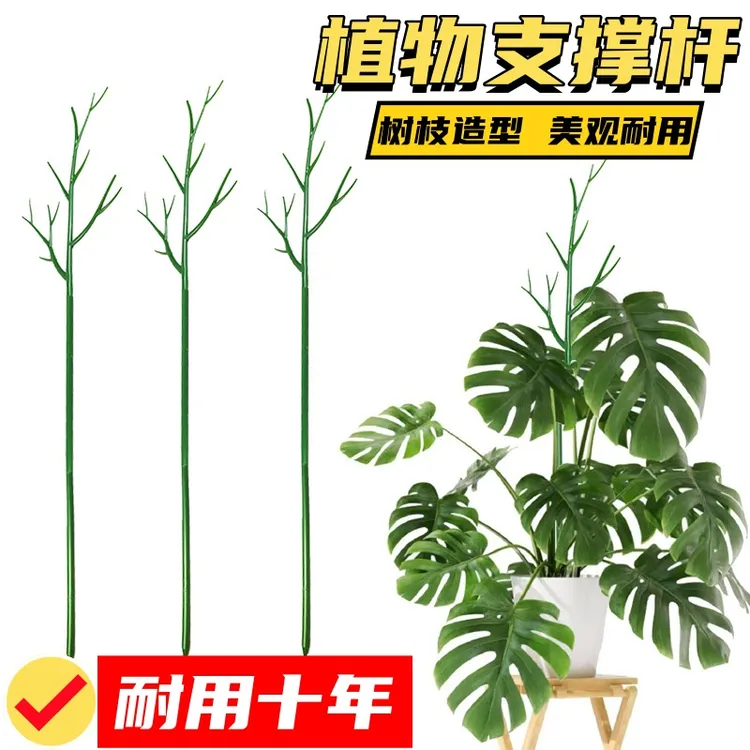 植物支撑杆树枝型防倒伏固定攀爬龟背竹支撑架爬藤园艺造型花支架