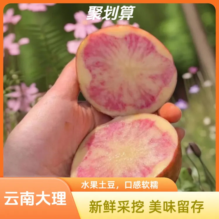 云南大理剑川农家七彩花心土豆
