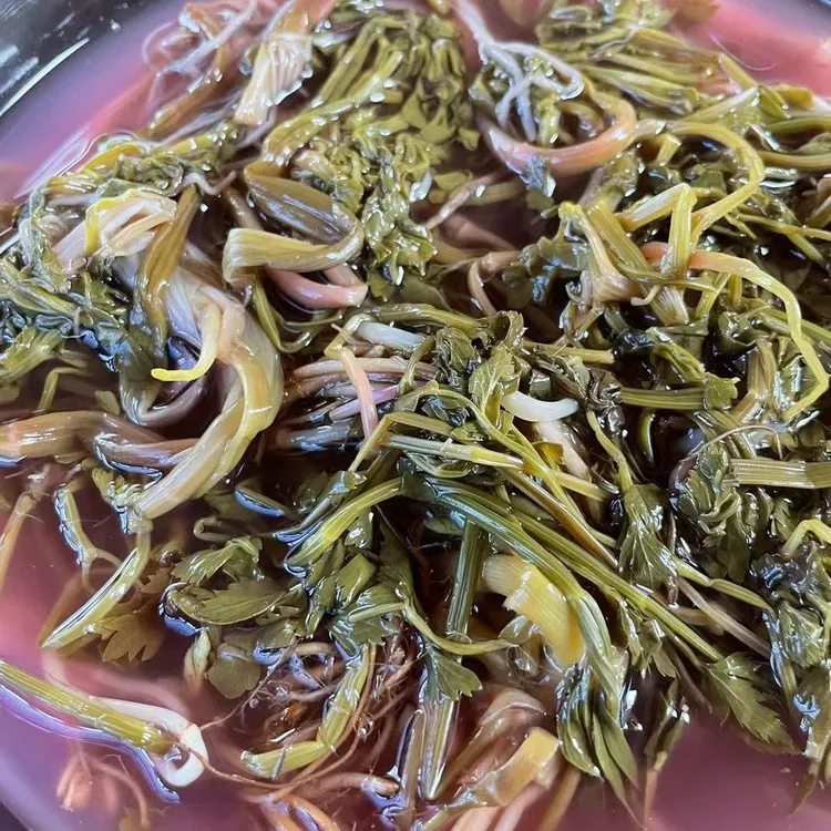 富源农家制作叶芹酸菜2斤1000克
