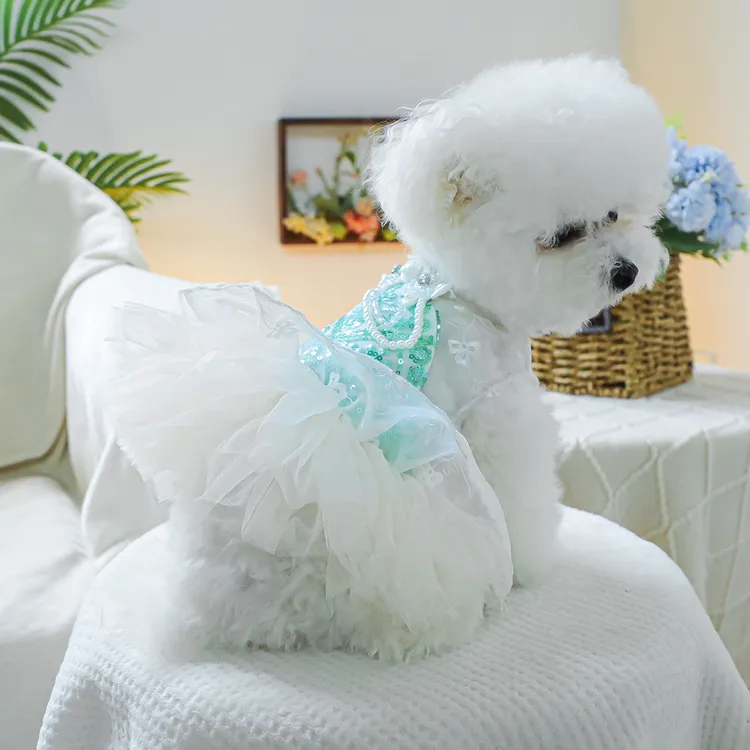 宠物狗狗衣服比熊博美泰迪春秋薄荷曼波礼服裙婚纱公主裙