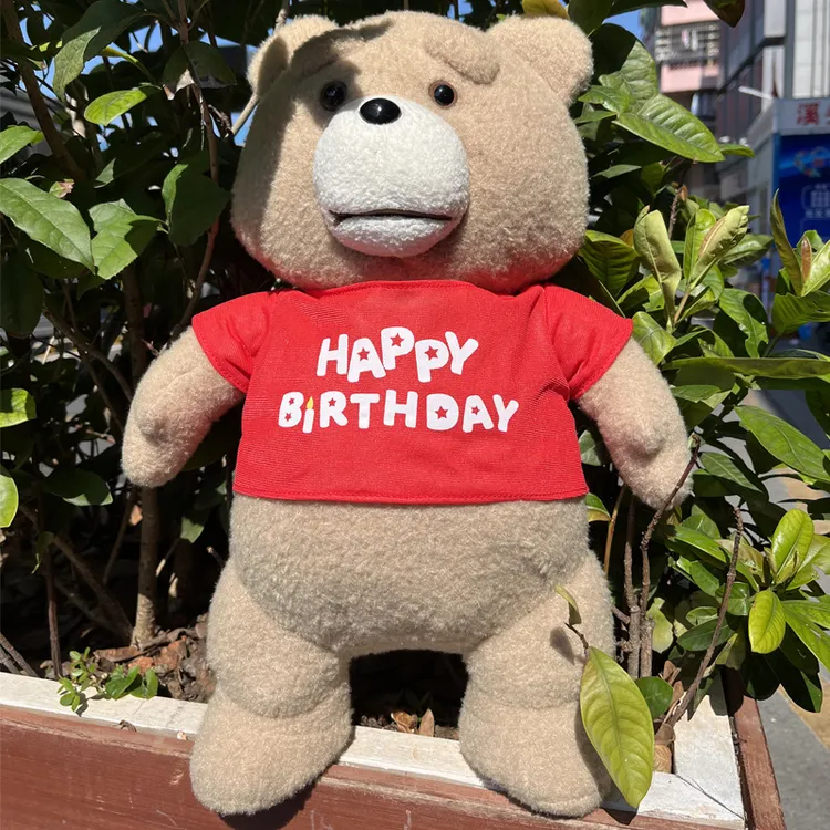 包邮TED二代泰迪熊毛绒玩具熊抱抱熊公仔大娃娃毛衣熊生日礼物女