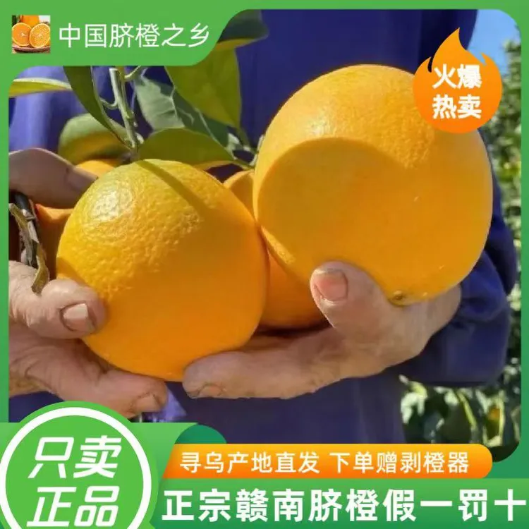 正宗江西赣南脐橙新鲜应季水果孕妇水果赣州直发5/10/20斤装整箱