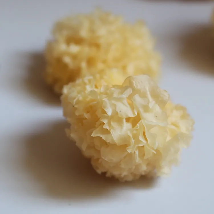 福建古田小银耳出胶快口感软糯营养丰富的干货