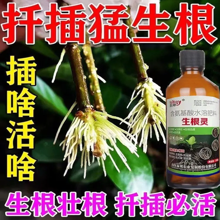 进口生根粉生根壮苗剂速效生根液大树移植苗木扦插月季果树生根