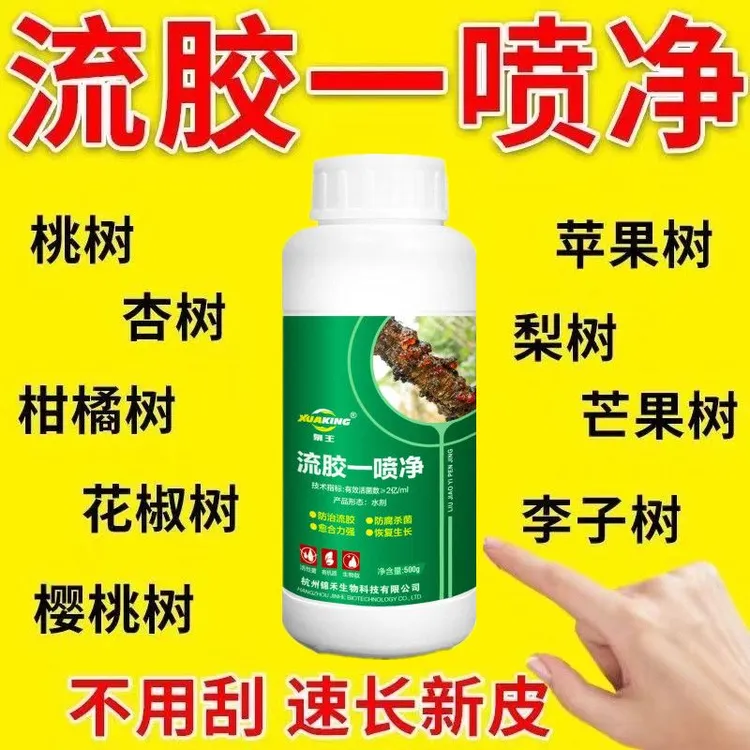 流胶一喷净李子桃树流胶病专用药溃疡腐烂病流胶一喷净流胶穿孔病