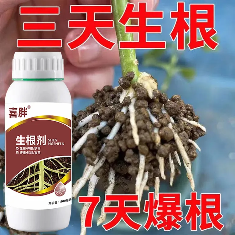 生根粉强力生根粉死苗烂根沤根植物通用果树移栽扦插生根剂营养肥