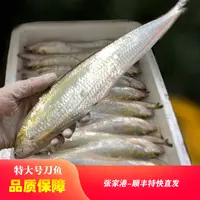 张家港发特大号四两左右精品鲜刀鱼3条 清蒸美味细腻鲜嫩海刀鱼
