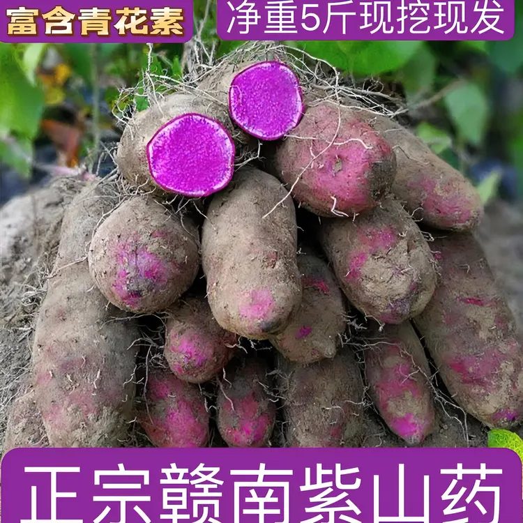 赣南农家自种新鲜紫山药脚板薯紫色板栗薯滋补蔬菜