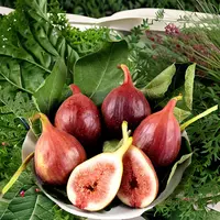 新鲜无花果鲜波姬红清甜当季采新鲜水果红皮鲜果水果饱满1斤包邮