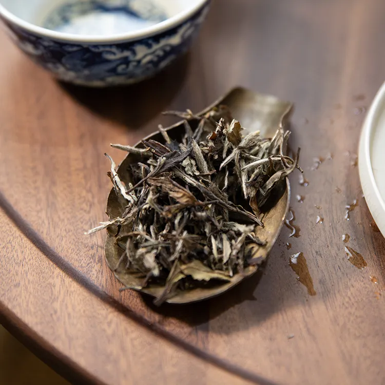 恋山堂2012年福鼎白茶白牡丹11年老白茶蜜韵甜醇磻溪湖林产区