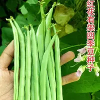 （全场满5元包邮）红花白荚玉豆种籽四季豆种子蔬菜种子蔬菜秋播种