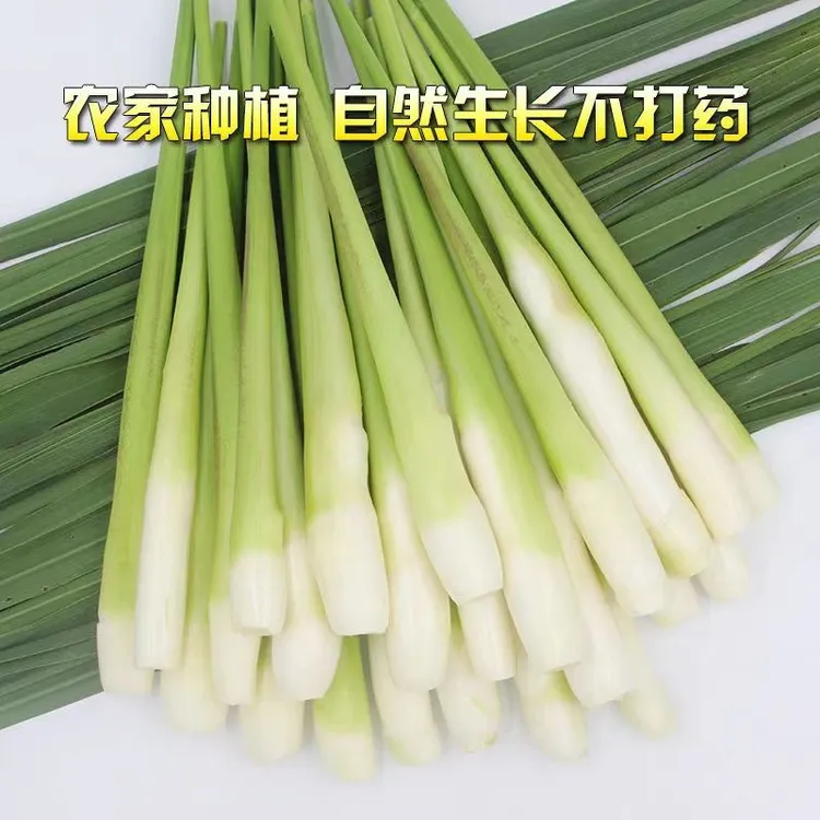 浙江不打药茭白新鲜时令蔬菜应季美食高笋农产品不泡水孕妇月子