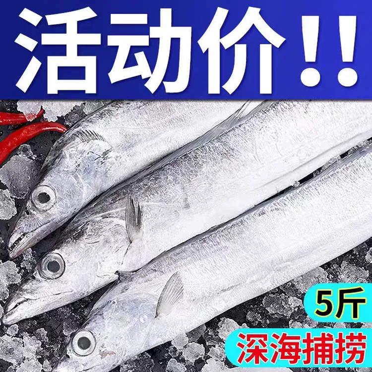 野生海捕 深海大带鱼  海钓品质 每条1.5斤左右 连云港发货