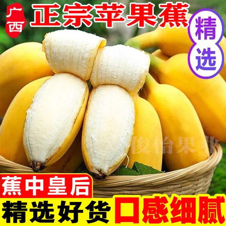 广西苹果蕉当季时令水果5斤/9斤产地直发香甜软糯粉香蕉批发俊怡