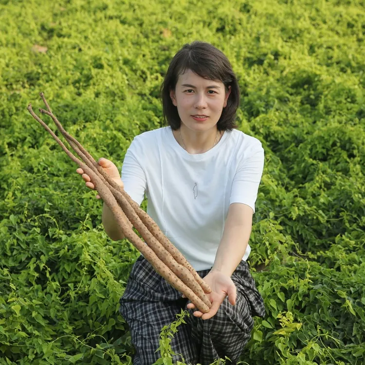 温县铁棍山药（垆土地）3斤装5斤装8斤装【正宗怀山药】特产种植健康