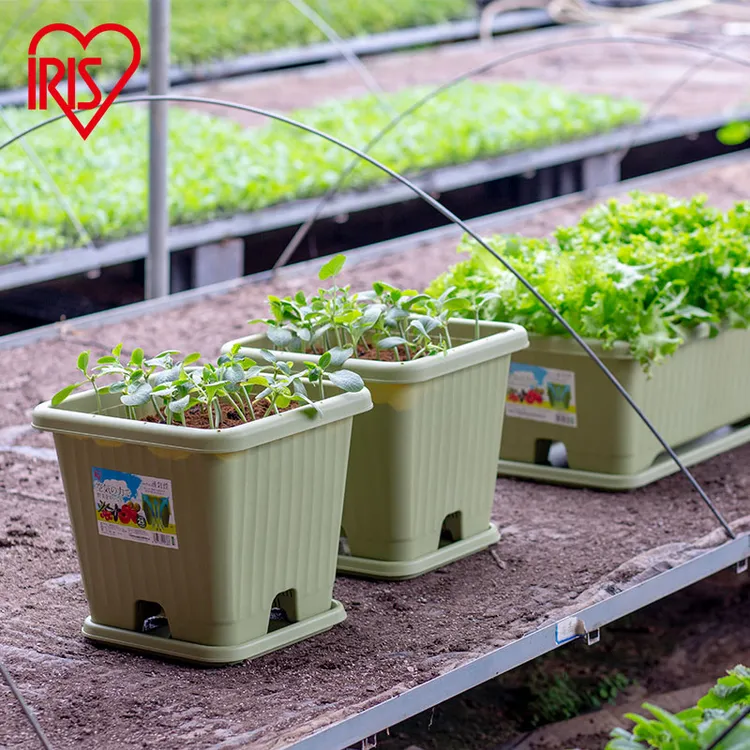 【甄选】爱丽思菜盆种菜盆室内长条花盆塑料种植阳台蔬菜环保种植盆