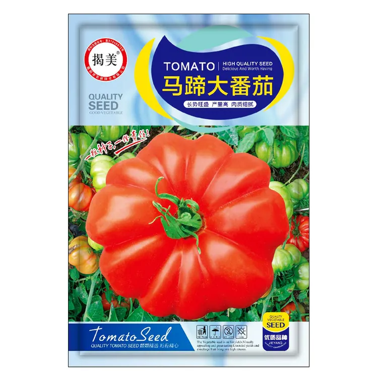 潮汕马蹄番茄种子优质西红柿老品种大籽春季庭院田园播种蔬菜种子